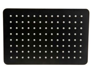 Koro Black Shower Head