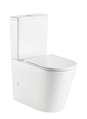 Atlantic Grande Back to Wall Toilet Suite with Extra Height - Fully Ambulant